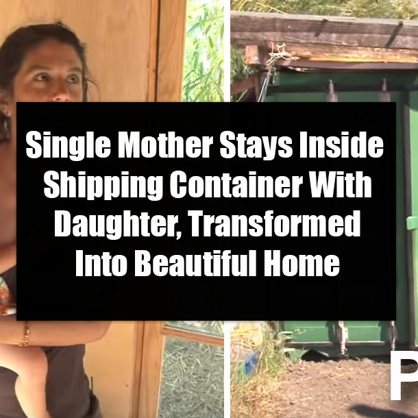 Single Mother Stays Inside Shipping Container With Daughter, Transformed Into Beautiful Home
