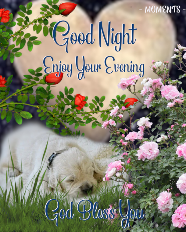 Sleep Tight: 10 Uplifting Good Night Sayings To Soothe Your Soul - picture 12