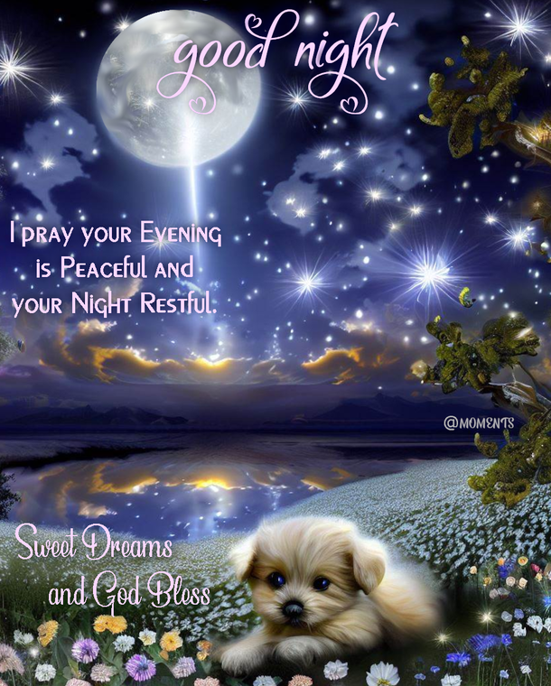 Sleep Tight: 10 Uplifting Good Night Sayings To Soothe Your Soul - picture 4