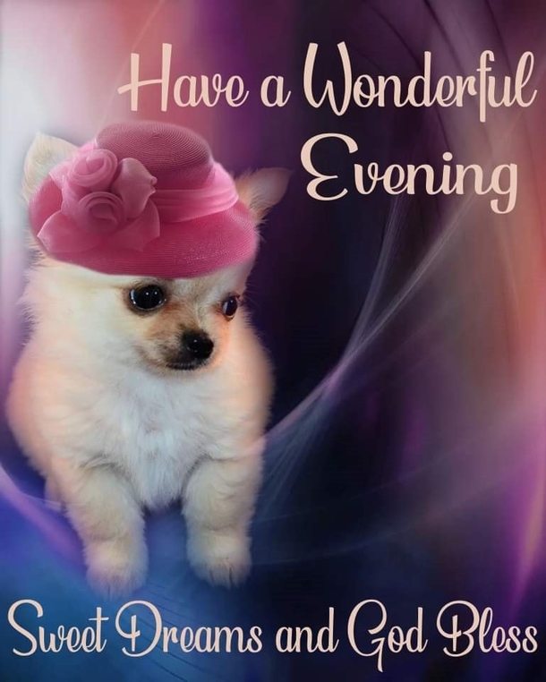 Sleep Well With These 10 Beautiful Good Evening Quotes To End The Night! - picture 10