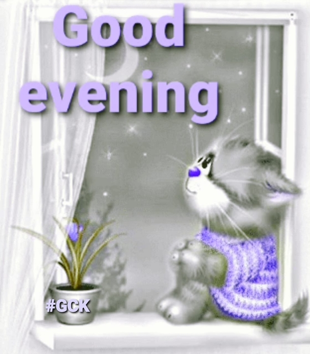 Sleep Well With These 10 Beautiful Good Evening Quotes To End The Night! - picture 4