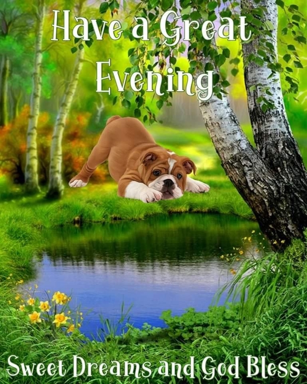 Sleep Well With These 10 Beautiful Good Evening Quotes To End The Night! - picture 6