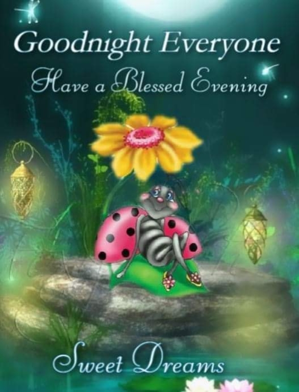 Sleep Well With These 10 Beautiful Good Evening Quotes To End The Night! - picture 7