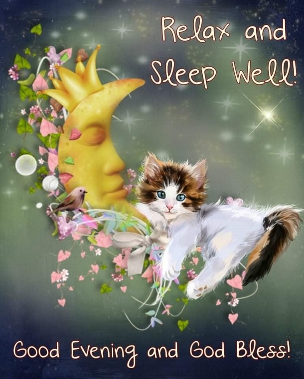 Sleep Well With These 10 Beautiful Good Evening Quotes To End The Night! - picture 9