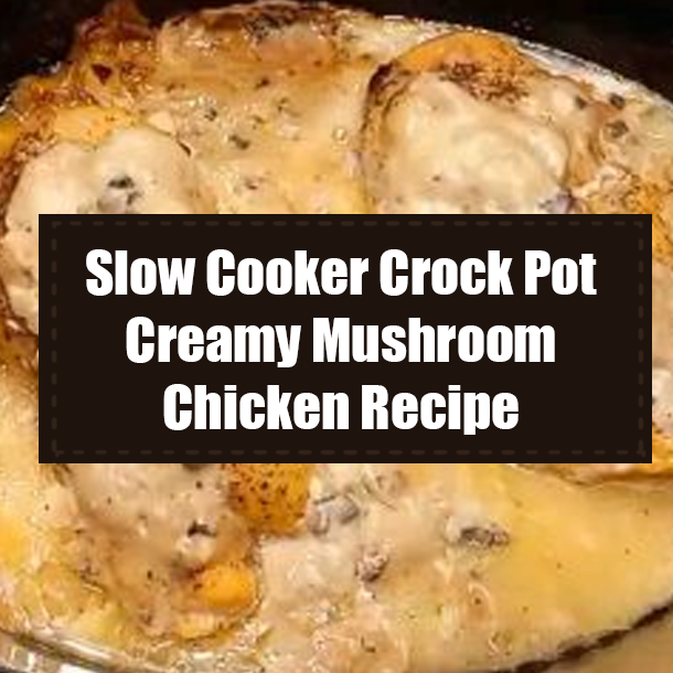 Slow Cooker Crock Pot Creamy Mushroom Chicken Recipe