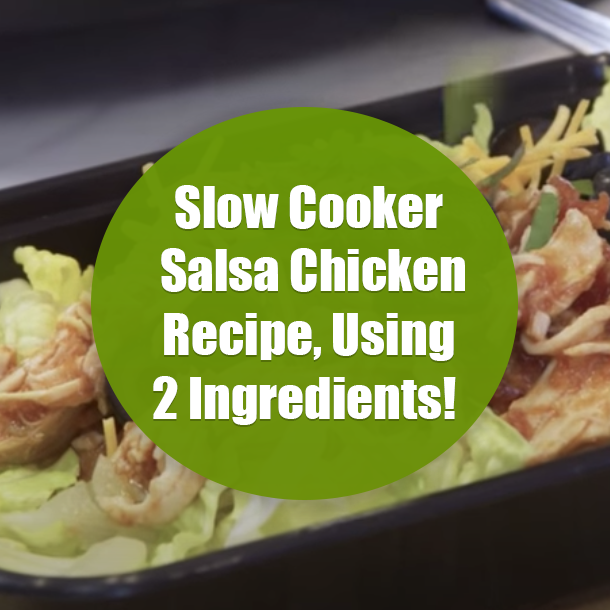 Slow Cooker Salsa Chicken Recipe, Using 2 Ingredients!