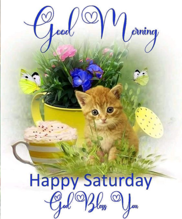 Smile and Relax: Happy Saturday Quotes To Brighten Your Day - picture 10