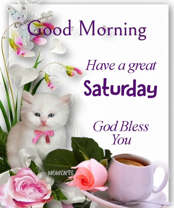 Smile and Relax: Happy Saturday Quotes To Brighten Your Day - picture 11