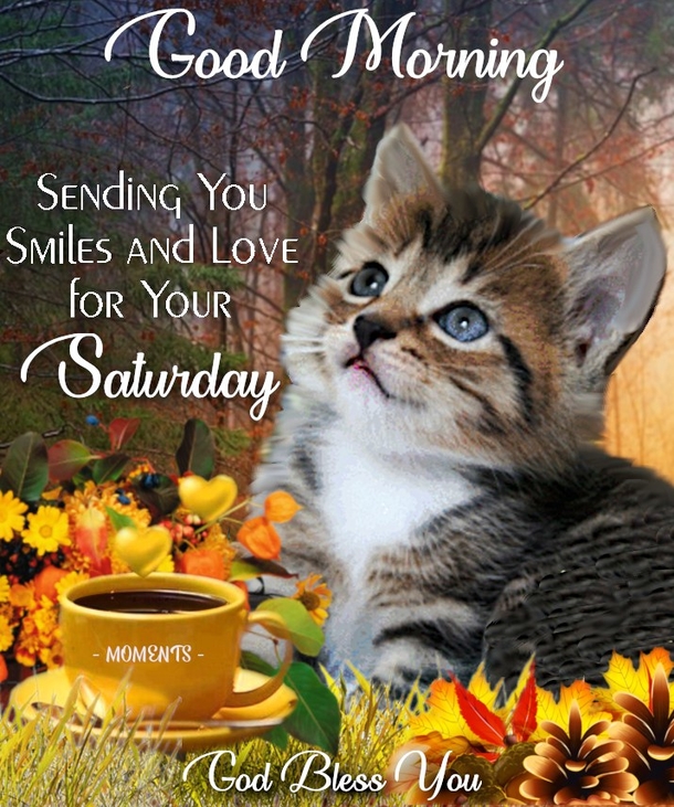 Smile and Relax: Happy Saturday Quotes To Brighten Your Day - picture 6