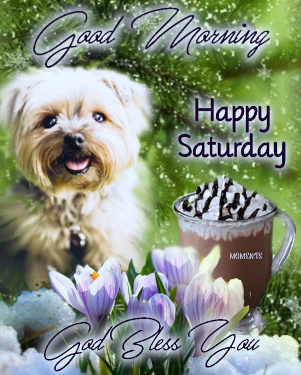 Smile and Relax: Happy Saturday Quotes To Brighten Your Day - picture 8