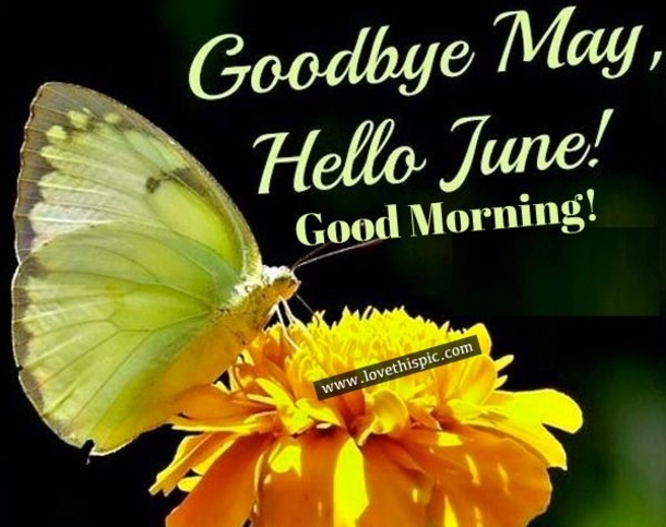 So Long May: 10 Goodbye May Quotes To Get You Ready For June - picture 8
