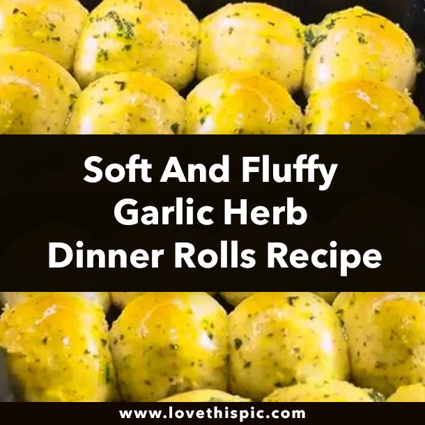 Soft And Fluffy Garlic Herb Dinner Rolls Recipe