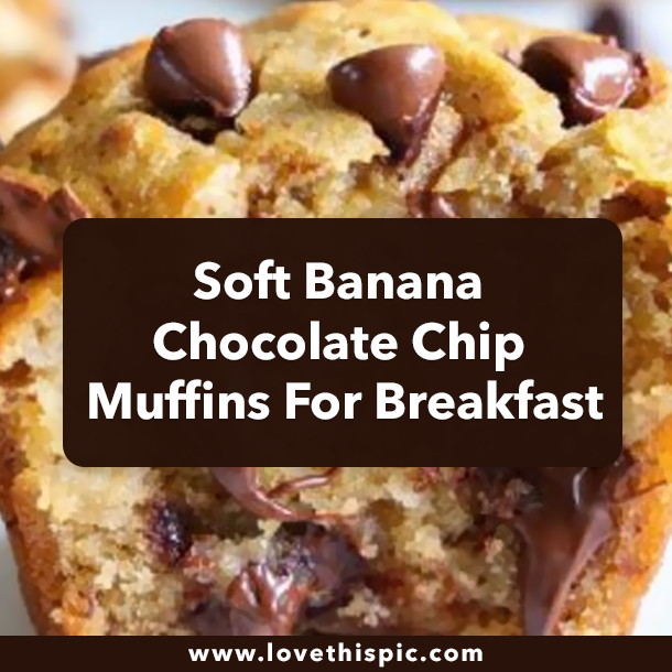 Soft Banana Chocolate Chip Muffins For Breakfast