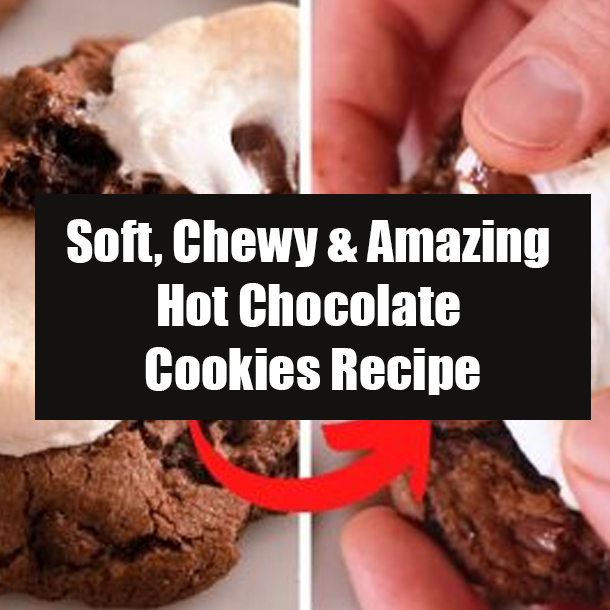 Soft, Chewy & Amazing Hot Chocolate Cookies Recipe