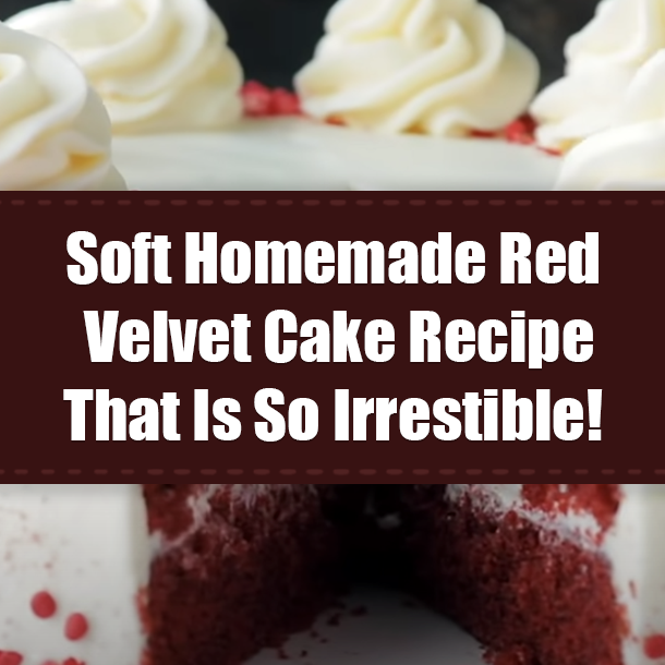 Soft Homemade Red Velvet Cake Recipe That Is So Irrestible!