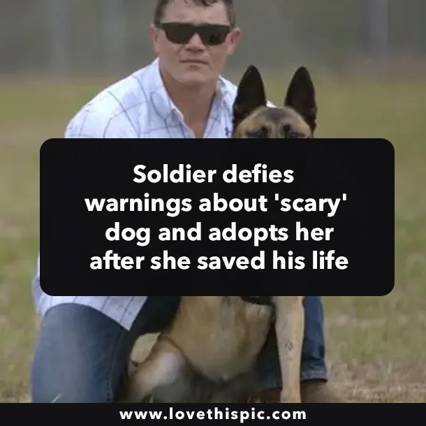 Soldier defies warnings about 'scary' dog and adopts her after she saved his life