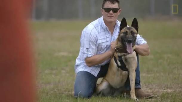 Soldier defies warnings about 'scary' dog and adopts her after she saved his life - picture 4