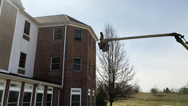 Son visits 80-year-old quarantined mom on 3rd floor of nursing home in company's truck - picture 3