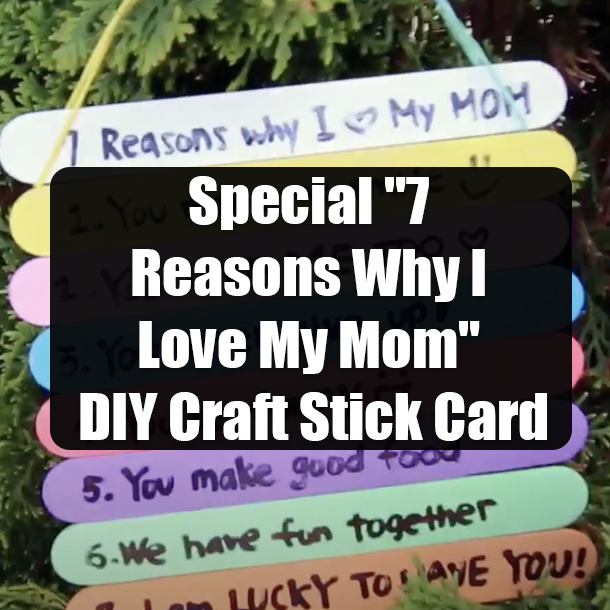 Special "7 Reasons Why I Love My Mom" DIY Craft Stick Card