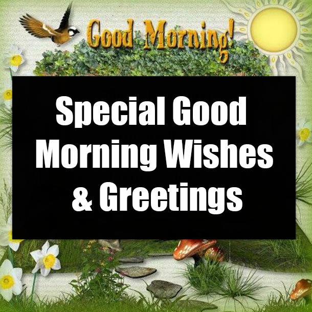Special Good Morning Wishes & Greetings