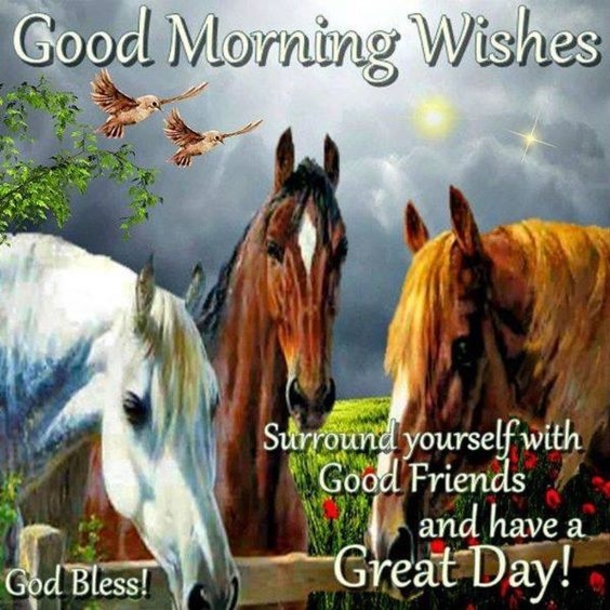 Special Good Morning Wishes & Greetings - picture 11