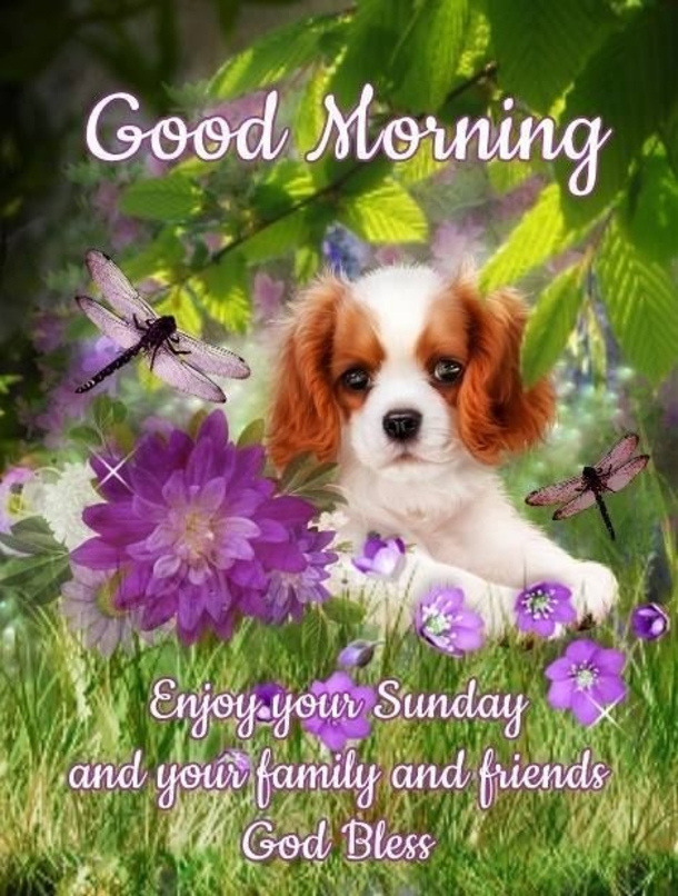 Special Good Morning Wishes & Greetings - picture 2