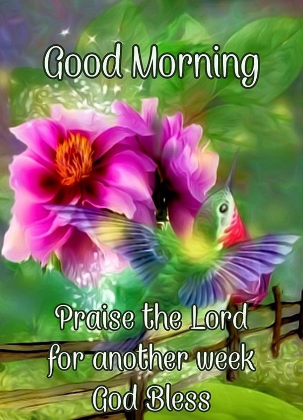 Special Good Morning Wishes & Greetings - picture 5