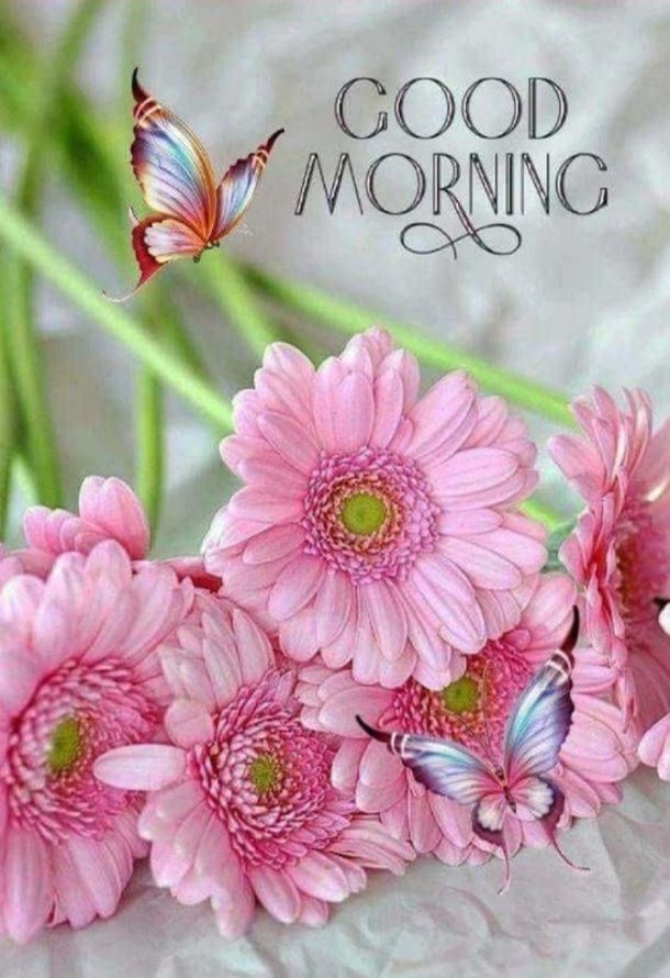 Special Good Morning Wishes & Greetings - picture 6