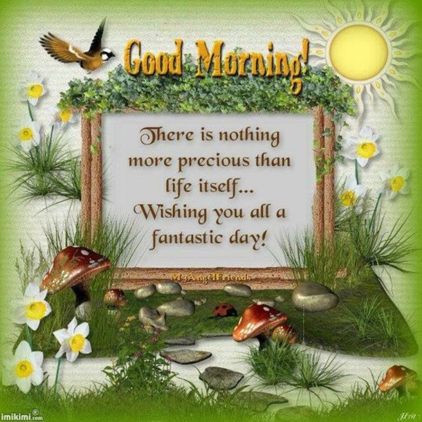 Special Good Morning Wishes & Greetings - picture 9
