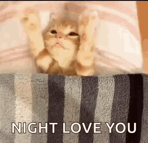 Special Good Night & Sweet Dreams Quotes For Couple In Love - picture 10