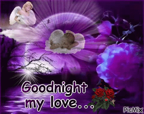 Special Good Night & Sweet Dreams Quotes For Couple In Love - picture 12