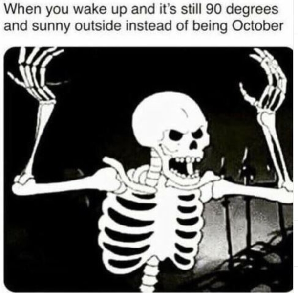 Spooky Fall Memes For Anyone Ready For The New Season - picture 6