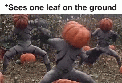 Spooky Fall Memes For Anyone Ready For The New Season - picture 8
