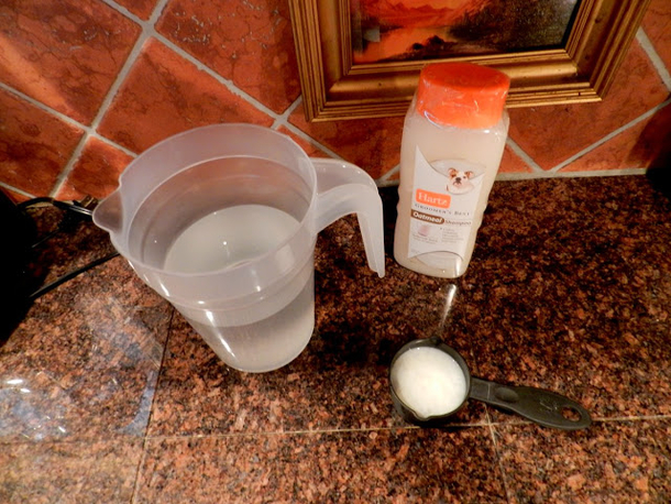 Spray This Safe Homemade Mix In Your House To Kill All Flies, Cockroaches And Mosquitos Instantly - picture 5