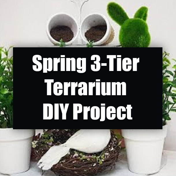 Spring 3-Tier Terrarium DIY Project