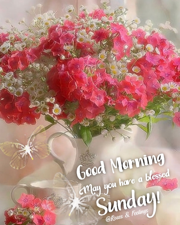 Start Your Sunday with a Smile: Sunday Quotes, Wishes, and Blessings - picture 6