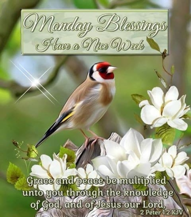 Start Your Week Right: 10 Inspirational Monday Blessings For 2024 - picture 11