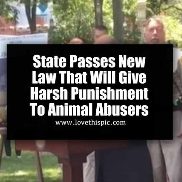 State Passes New Law That Will Give Harsh Punishment To Animal Abusers