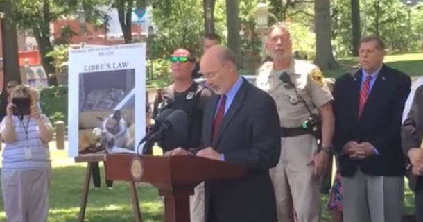 State Passes New Law That Will Give Harsh Punishment To Animal Abusers - picture 2