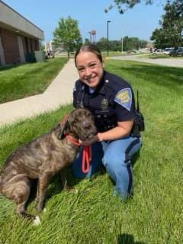 State trooper saves terrified, neglected puppy left behind on interstate - picture 3