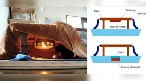 Stay Warm This Winter: This New Japanese Invention Is The Perfect Excuse Not To Get Out Of Bed - picture 2