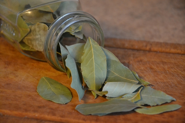 Stick A Few Of These Leaves In Every Corner of Your Home, You'll Never See A Single Cockroach Ever Again - picture 2