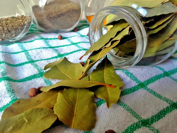 Stick A Few Of These Leaves In Every Corner of Your Home, You'll Never See A Single Cockroach Ever Again - picture 3
