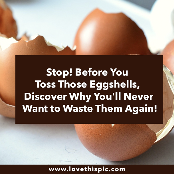 Stop! Before You Toss Those Eggshells, Discover Why You'll Never Want to Waste Them Again!