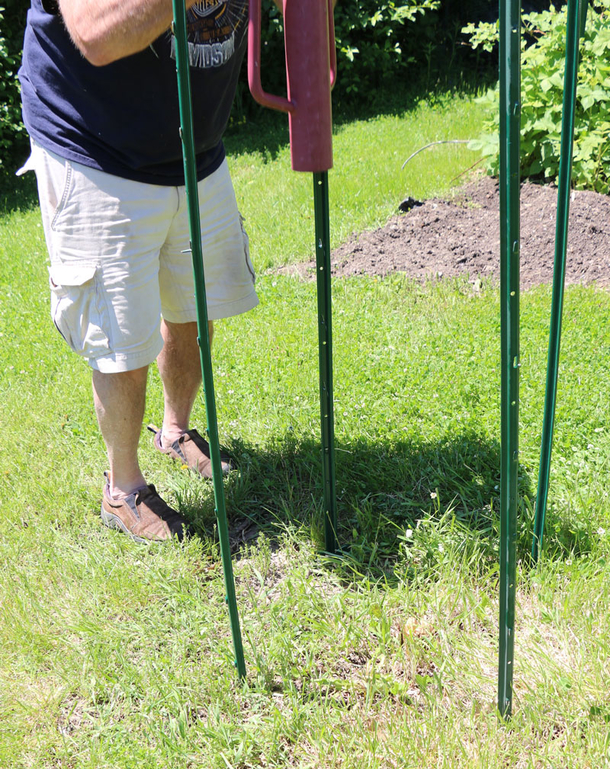 Stop buying potatoes. Here’s how to grow an endless supply of potatoes right at home - picture 4