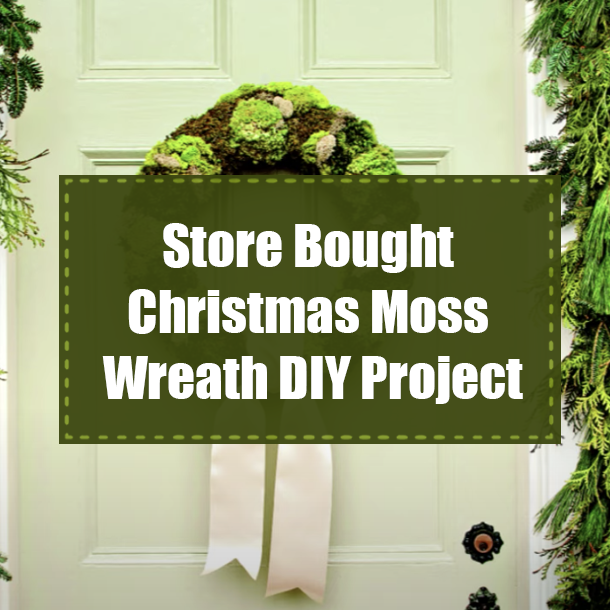 Store Bought Christmas Moss Wreath DIY Project