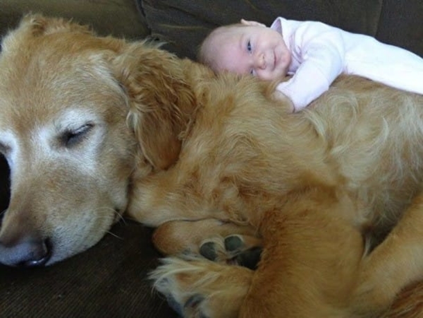 Strange Dog Keeps Taking Naps in Her House, Then He Returns One Day With Note On His Collar - picture 3