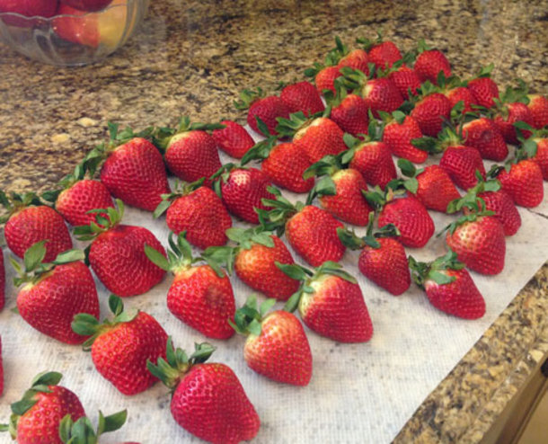 Strawberries spoil quickly. Expert farmer shares brilliant tips to keep your strawberries fresh - picture 5