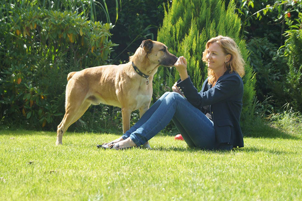 Stray dog's persistent wait outside hotel pays off as flight attendant adopts him - picture 5