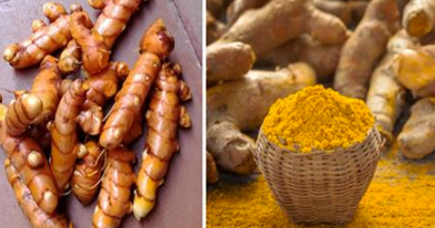 Studies Prove How Turmeric Can Improve Your Life & 7 Ways To Use It - picture 2